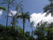 P7020210.JPG